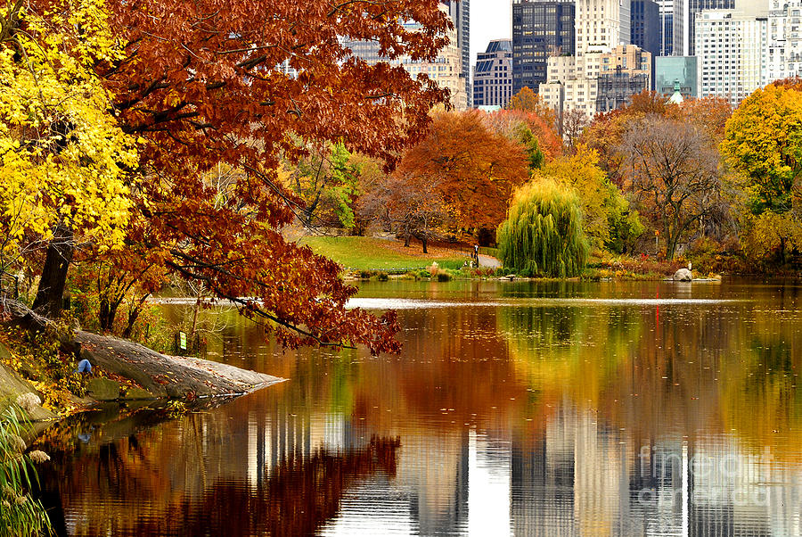autumn-colors-in-central-park-new-york-city-sabine-jacobs.jpg