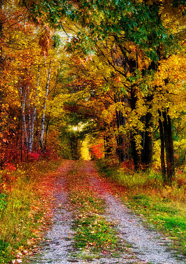  - autumn-country-lane-vertical-cory-christensen