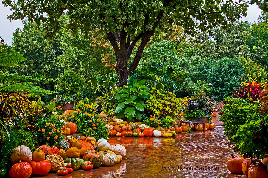 autumn garden 28 images autumn colour at bodnant gardens north wales everything digital autumn garden 28 images autumn colour at bodnant gardens north wales everything digital
