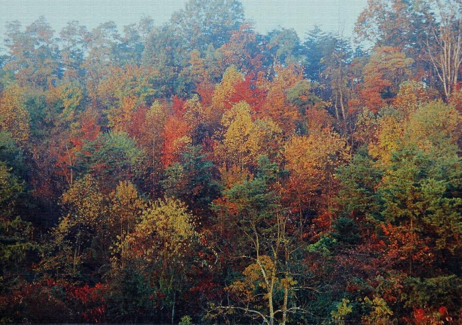 Bild zu Autumn Hill