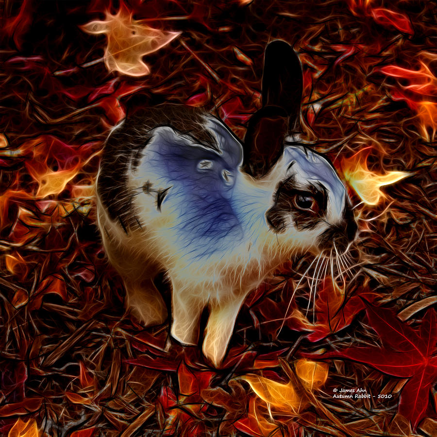  - autumn-rabbit-5010-james-ahn-james-ahn