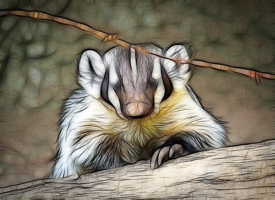 badger art