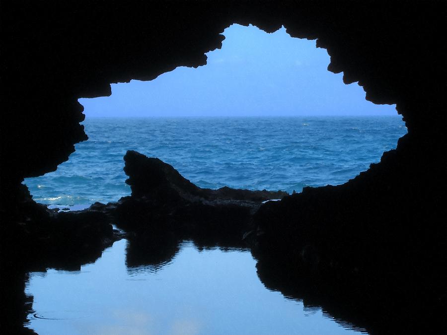 Barbados Animal Flowers Cave 1 by Fred Kraxberger Barbados Animal Flowers Cave 1 by Fred Kraxberger