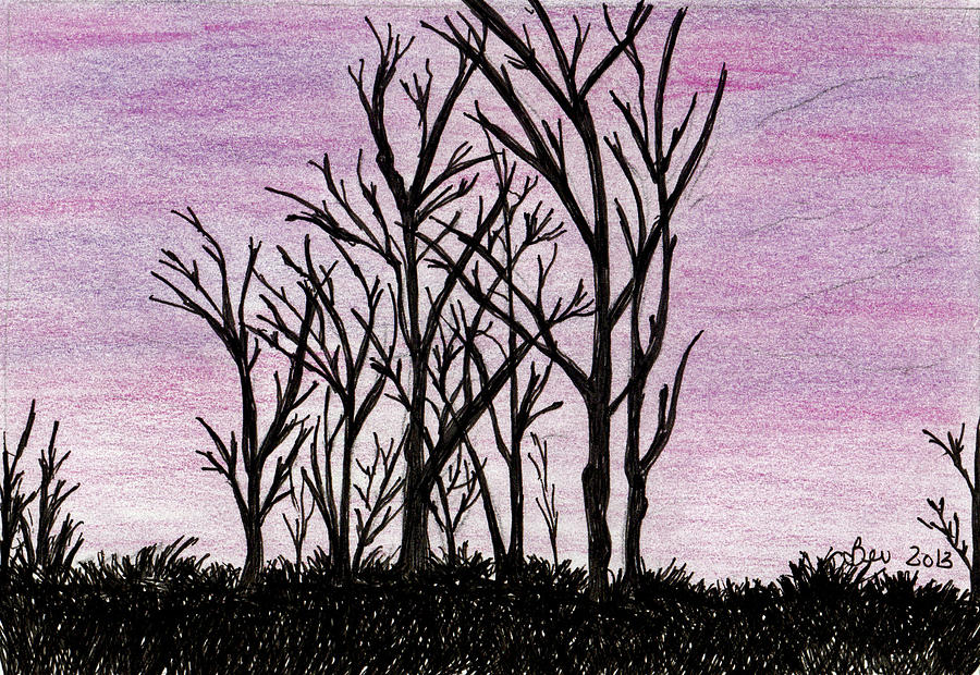 Bare Trees Drawing by Beverly Farrington