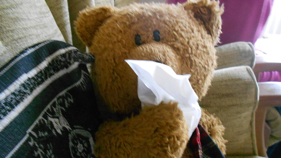 Bear Flu Photograph by Jacqueline Hickey