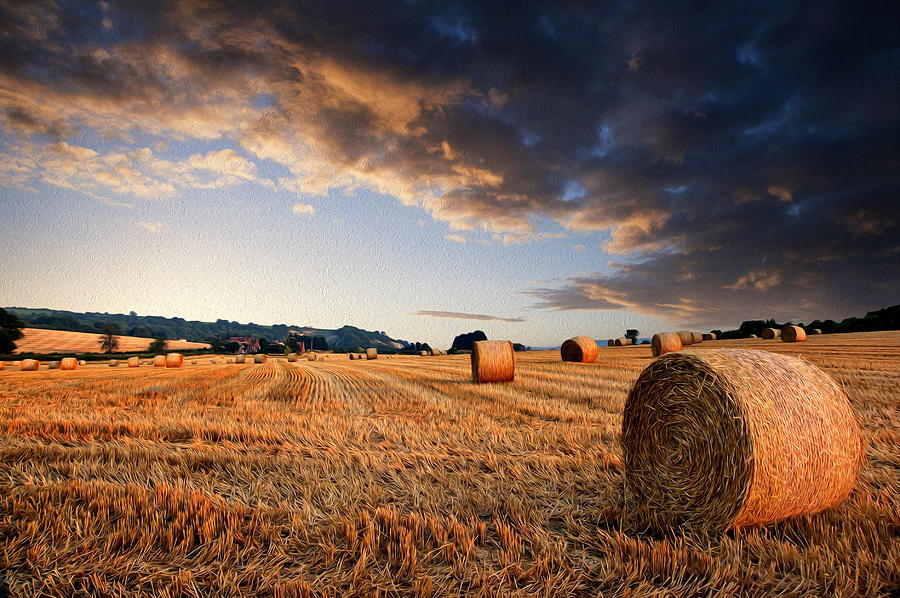 beautiful-hay-bales-sunset-landscape-dig