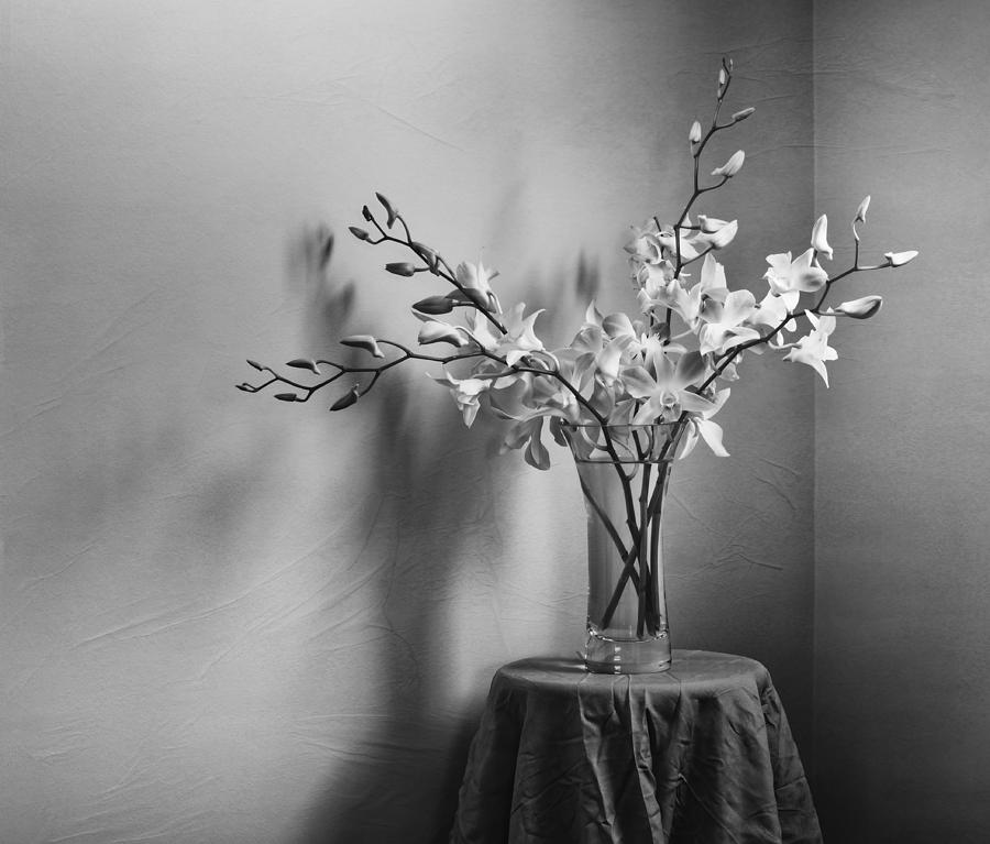 Beautiful Melancholy Photograph by Amy Weiss