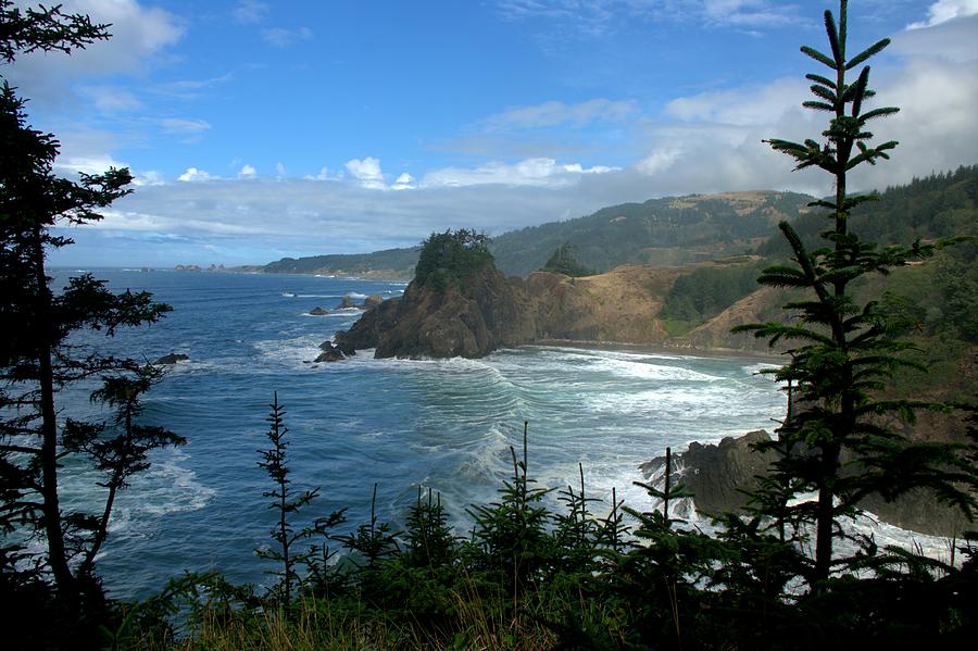 Beautiful Oregon Coast Photograph by John Greaves