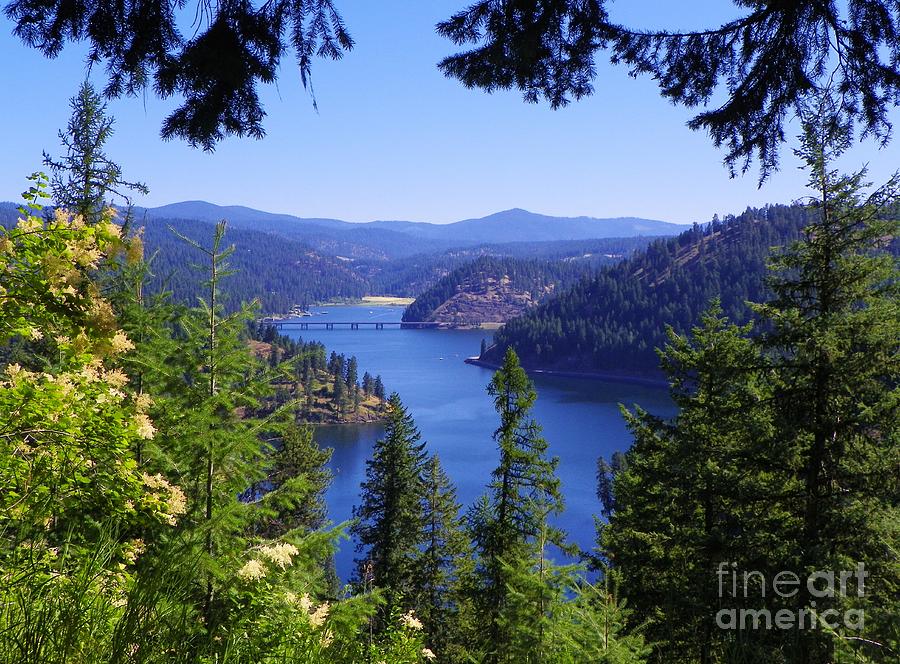 Beauty Bay - Lake Coeur Dalene Photograph