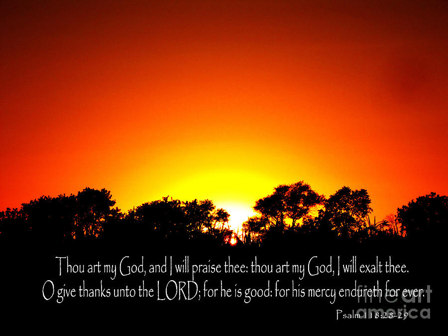 bible-psalm-118-28-29-photograph-by-ron-tackett