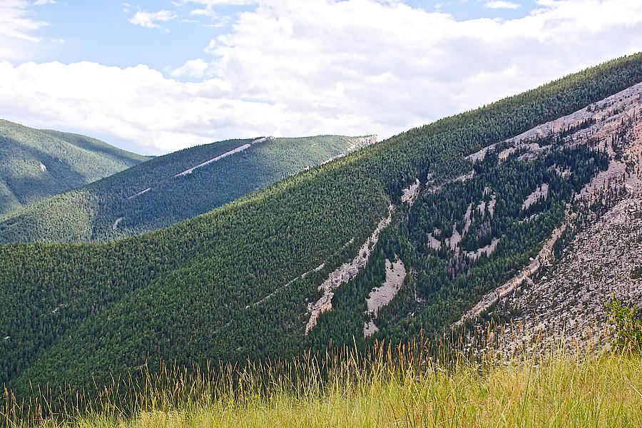 Bighorn National Forest Along Highway 14 In Wyoming Photograph By Ruth ...