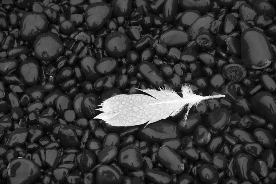  - black-pebbles-white-feather-yvonne-powell