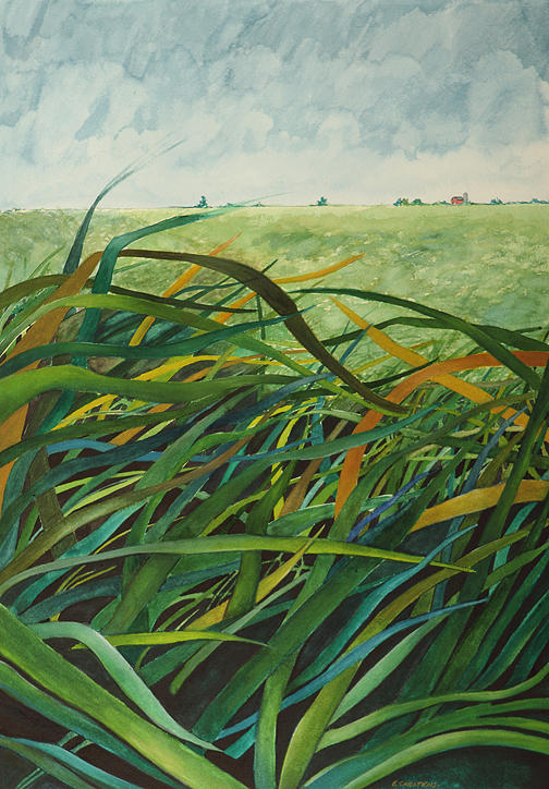  - blowing-grass-elizabeth-wenzel