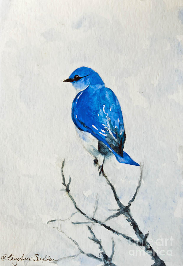 BlueBird Out On A Limb Watercolour Painting By CheyAnne Sexton Fine