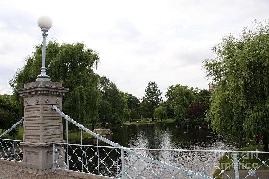 Boston Common Bridge Photograph by Christiane Schulze Art And Photography
