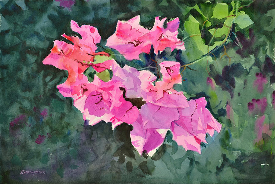 Bougainvillea Painting by Ramesh Jhawar