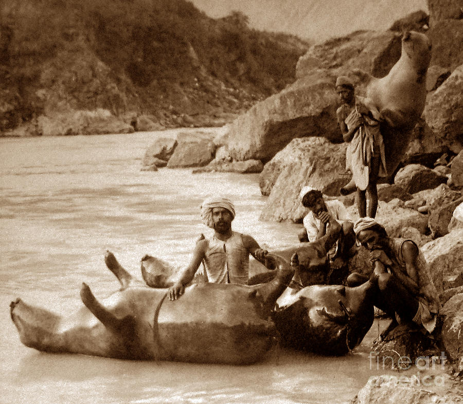 bullock-skin-boats-river-sutlej-india-th