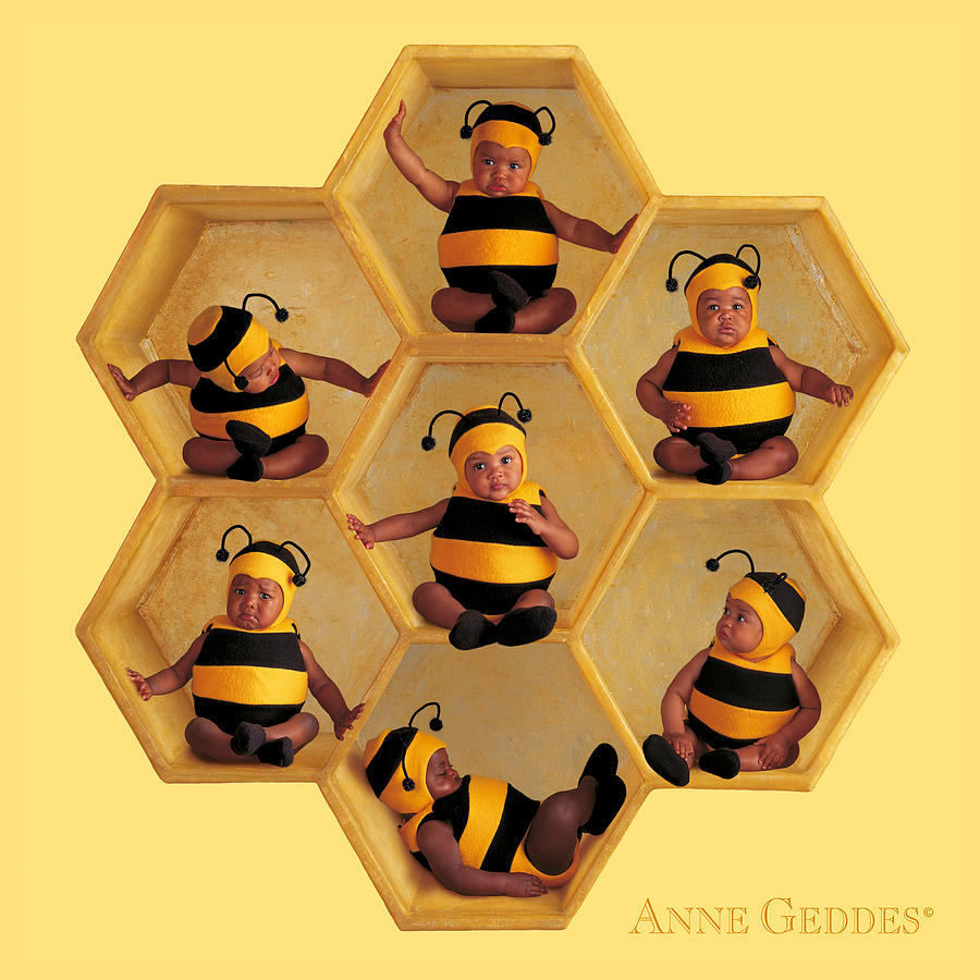 bumblebees-anne-geddes.jpg