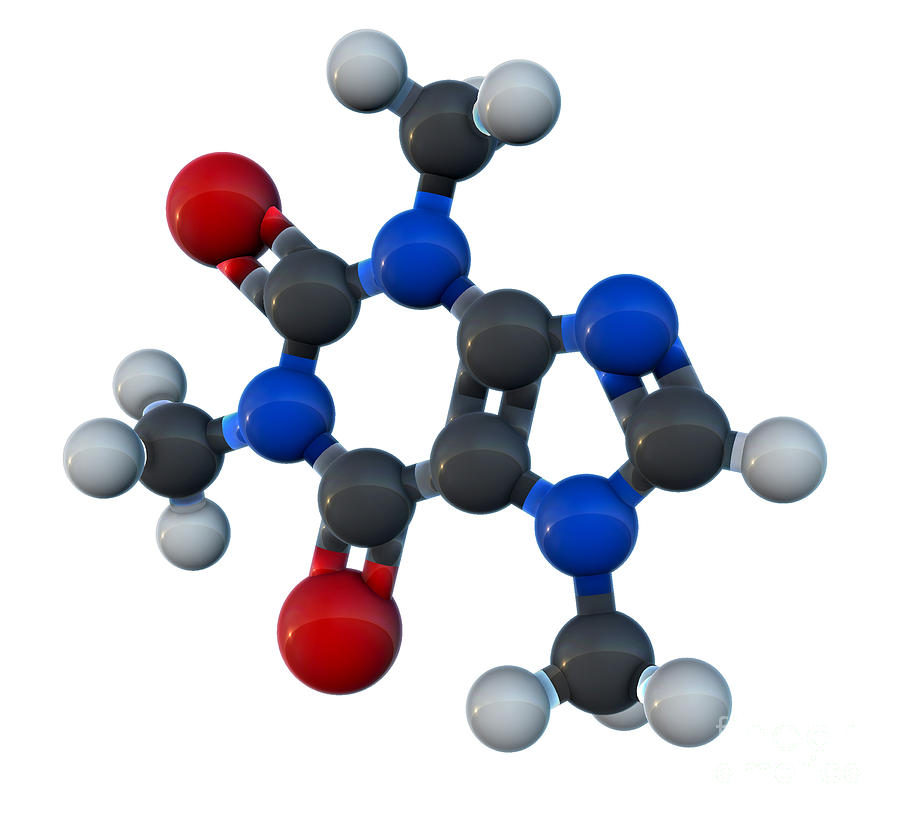 caffeine molecule