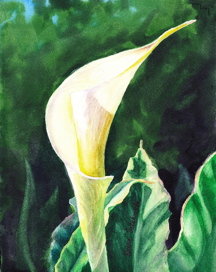 Calla Lily Painting by Irina Sztukowski