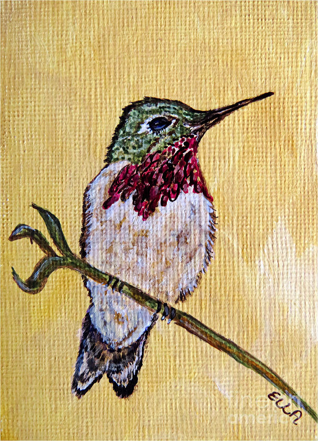  - calling-me-home-calliope-hummingbird-painting-ella-kaye