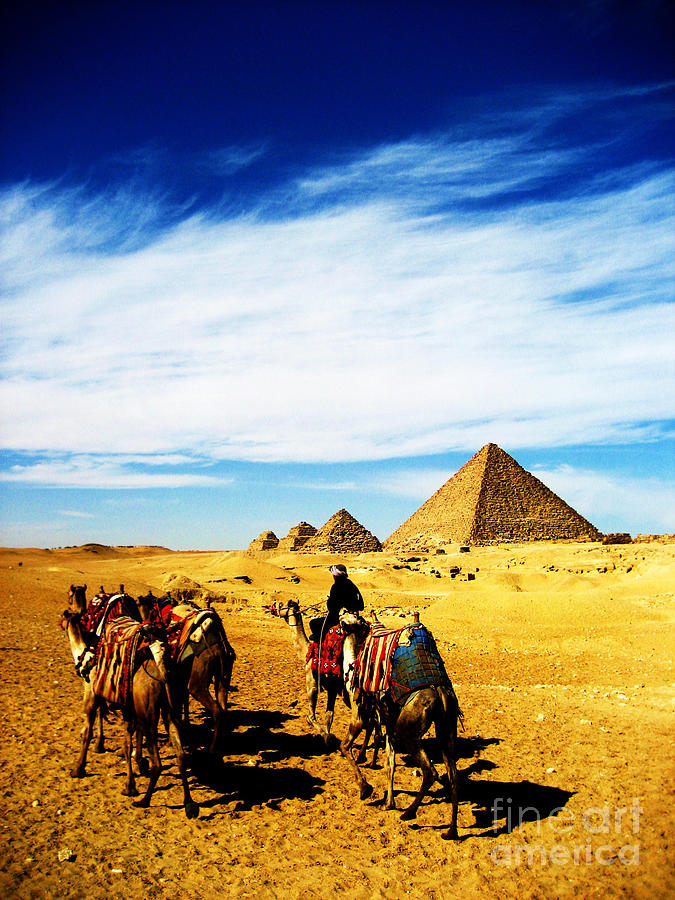  - caravan-of-camels-alison-tomich