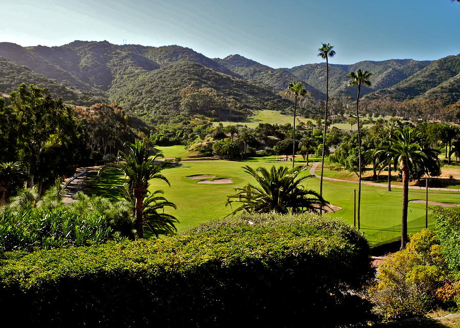 Catalina Island Golf Course Photograph by Kirsten Giving