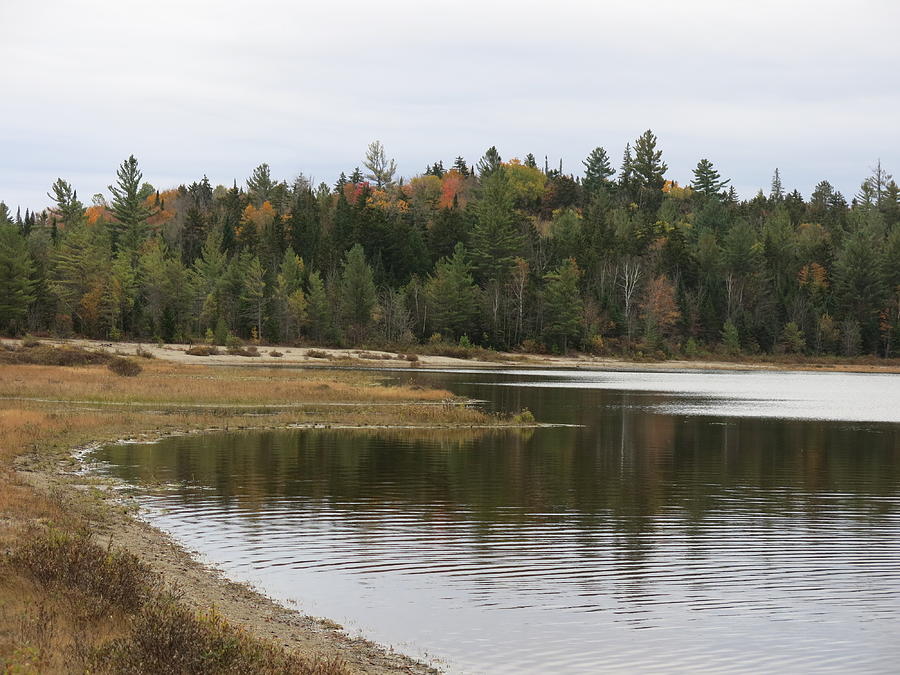 Cheney Lake At River Inlet Photograph By Jean Macaluso