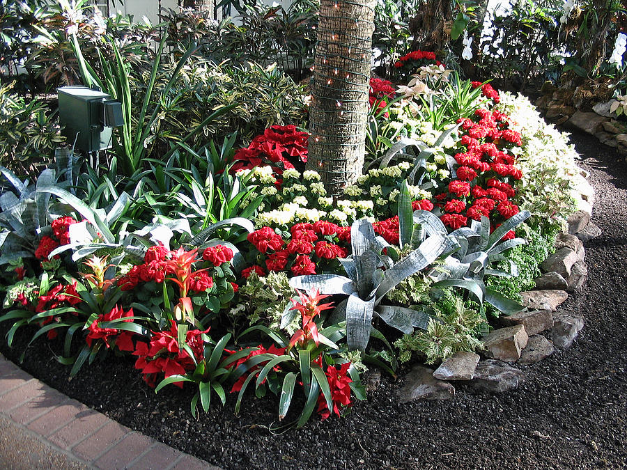  - christmas-floral-display-at-opryland-hotel-in-nashville-tennessee-2009-marian-bell