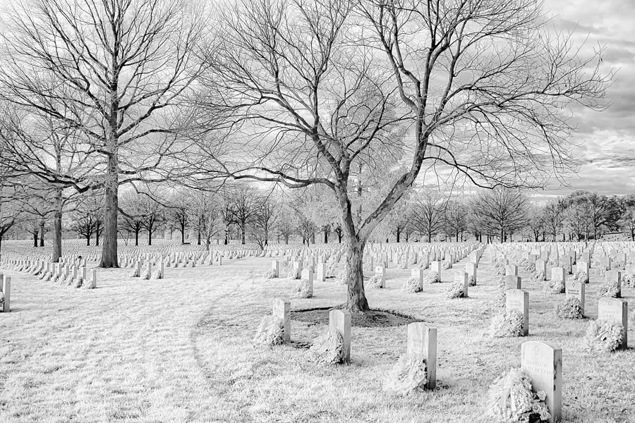 Christmas In Arlington National Cemetery Photograph By Cindy Archbell