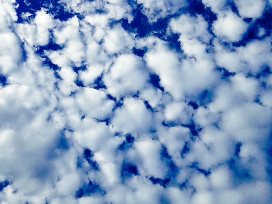 Cluster Of Clouds Photograph by Malia Zaidi