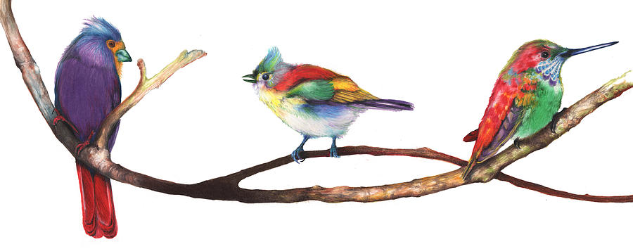 color-birds-study-3-anthony-burks.jpg