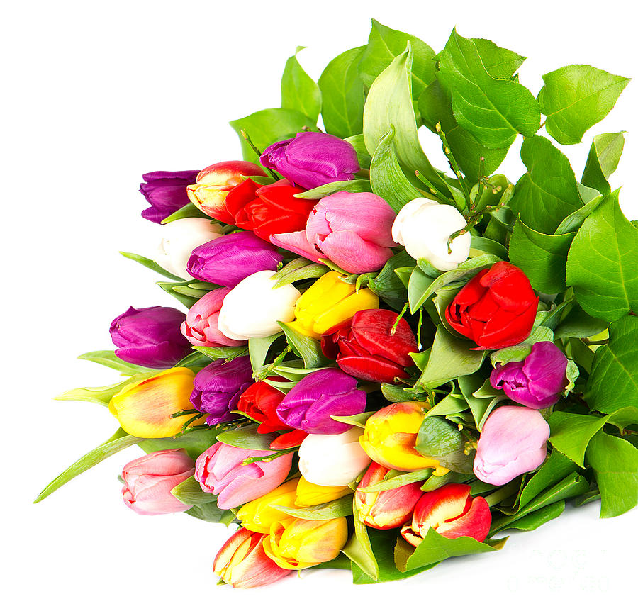 http://images.fineartamerica.com/images-medium-large-5/colorful-flower-bouquets-boon-mee.jpg