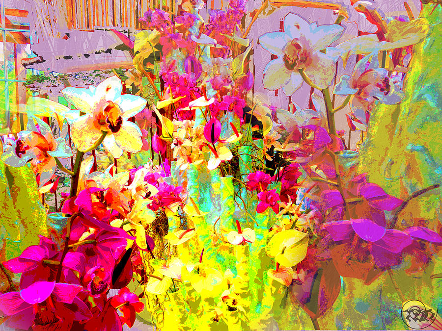  - colorful-mixed-flowers-anika-kanter