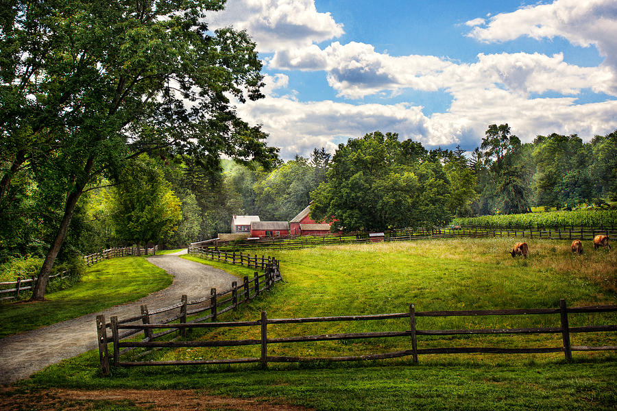 http://images.fineartamerica.com/images-medium-large-5/country-the-pasture-mike-savad.jpg