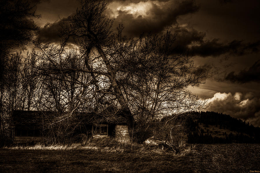  - creepy-house-one-derek-haller