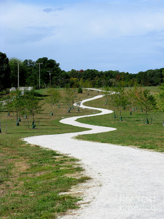 crooked-path-in-smithfield-va-photograph