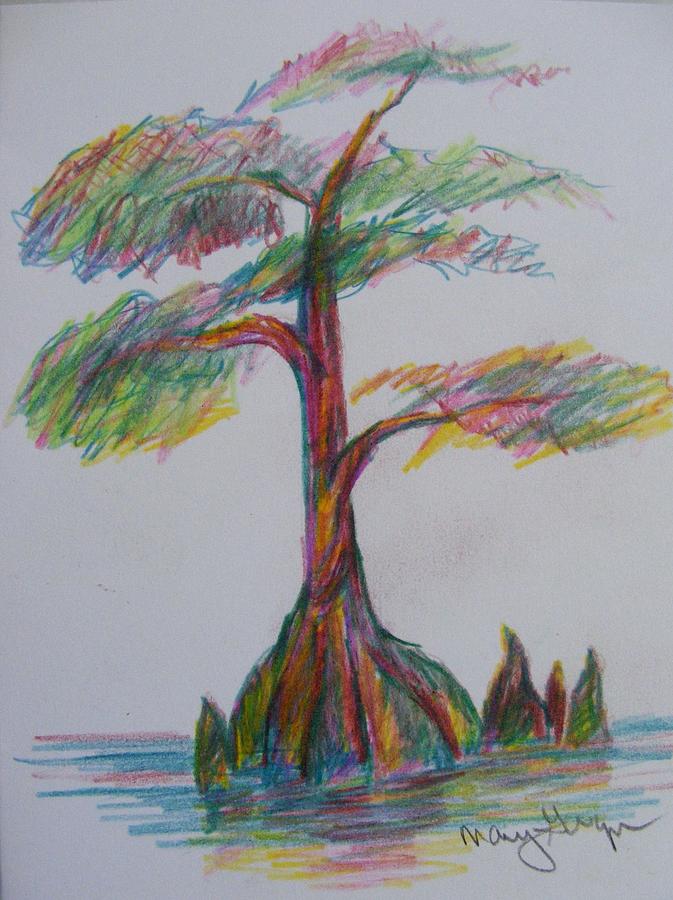 Under The Cypress Tree by Ashleigh Z. Under The Cypress Tree by Ashleigh Z.