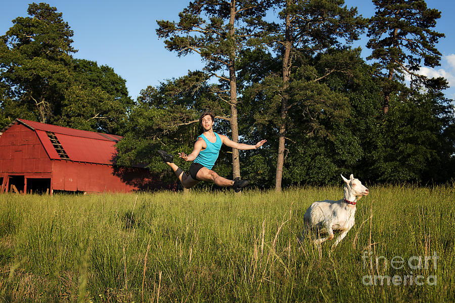 Dances With Goats Photograph By Audra Mitchell Fine Art America