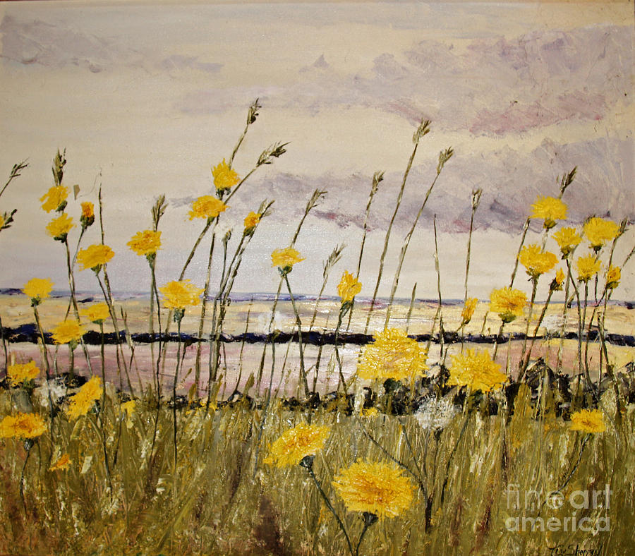  - dandelions-by-the-sea-tina-sheppard