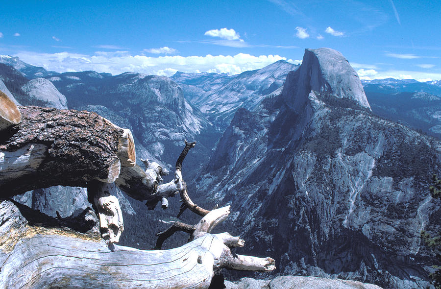 ansel adams life and two analysis his photographs ansel adams life and two analysis his photographs
