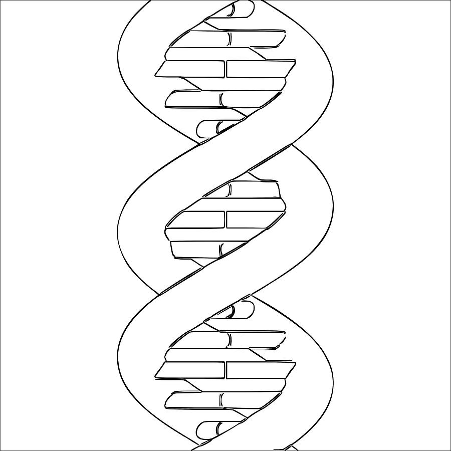 ДНК раскраска