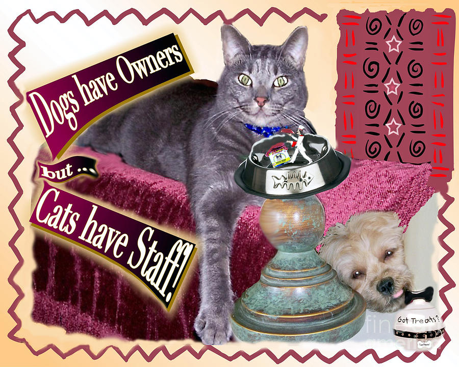 Dogs Have Owners - Cats Have Staff Digital Art by Laurel D Rund