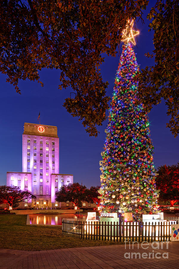 Downtown Houston Christmas Tree And City Hall At Twilight Houston