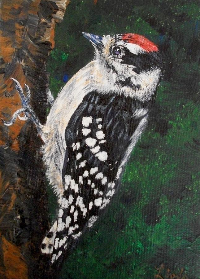 Downy Woodpecker Painting By Linda Eversole