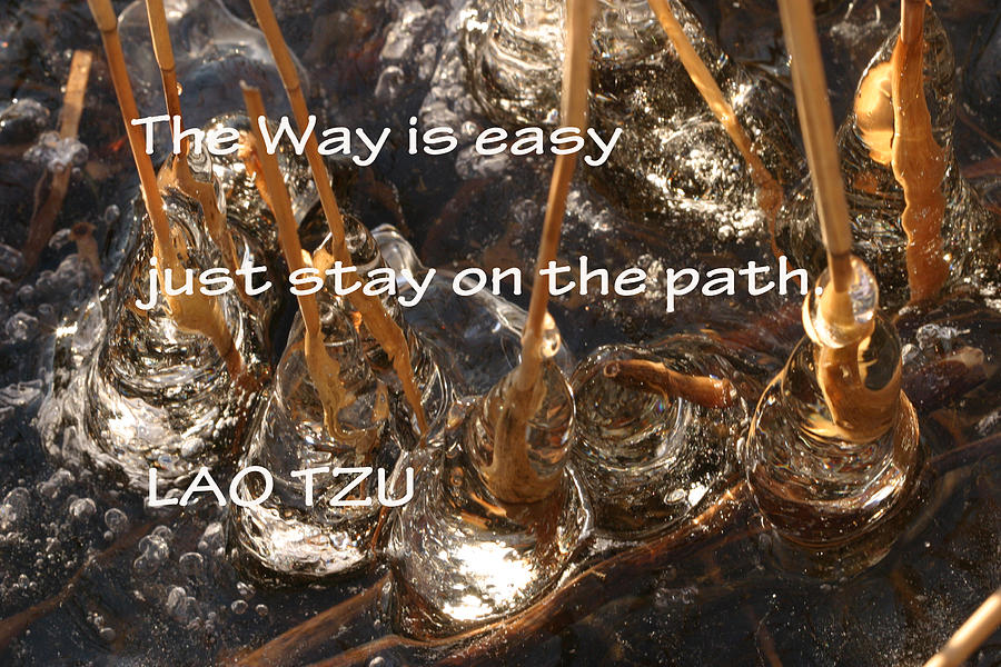 Easy Way Lao Tzu Photograph by TwinSoul Eyes