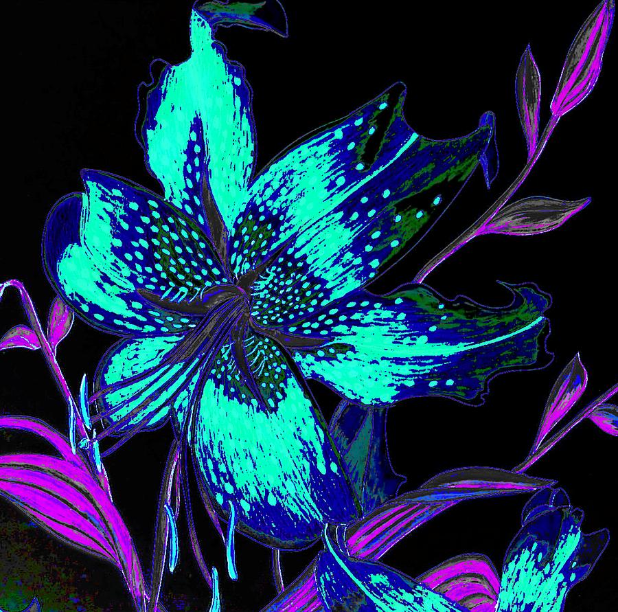 Electric Blue Stargazer Drawing by Laura Wilson