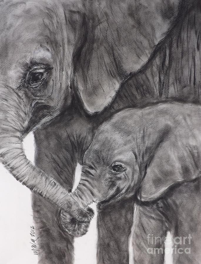  - elephant-love-michelle-wolff