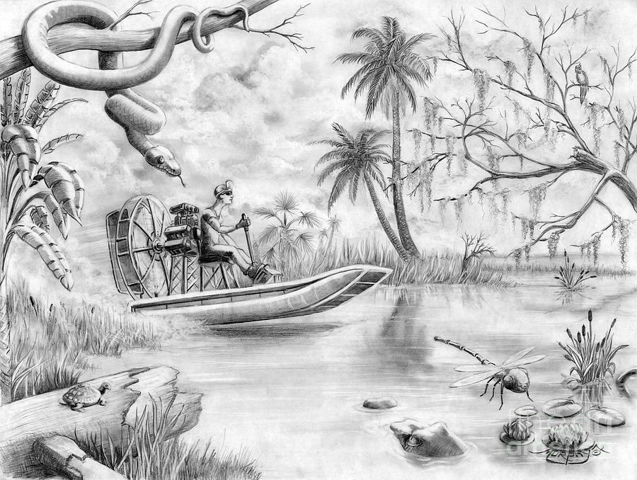 Everglades Florida Drawing by Murphy Elliott