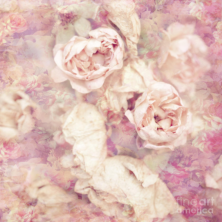 Faded Roses Photograph By Viaina Visual Artist